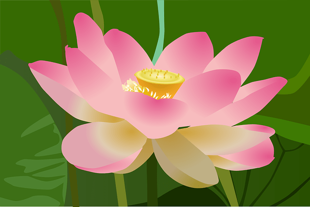signification du lotus